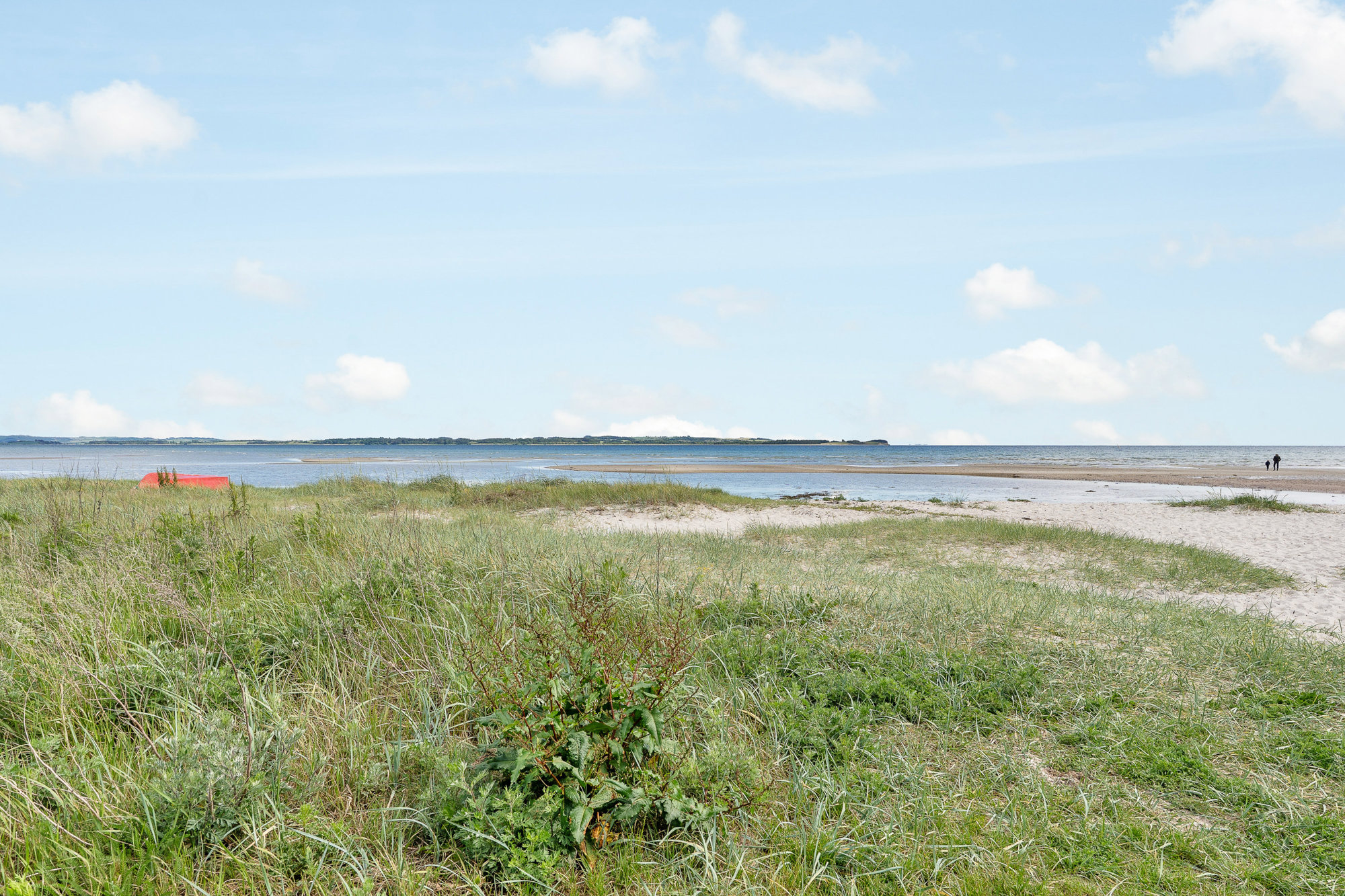 Område